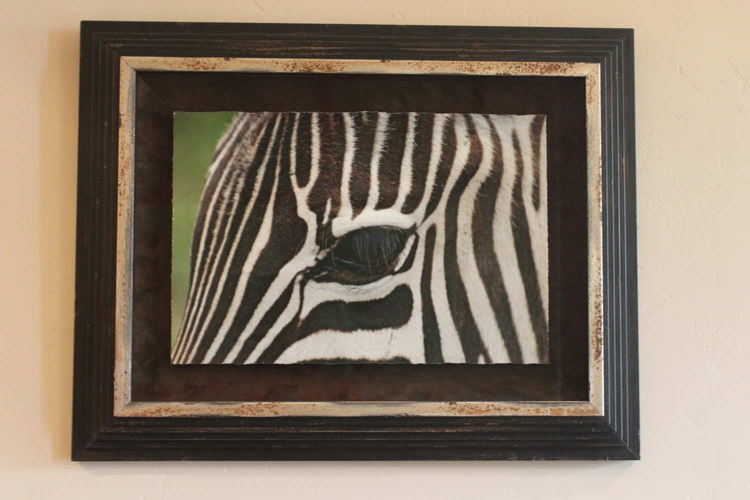 Zebra picture printed and framed