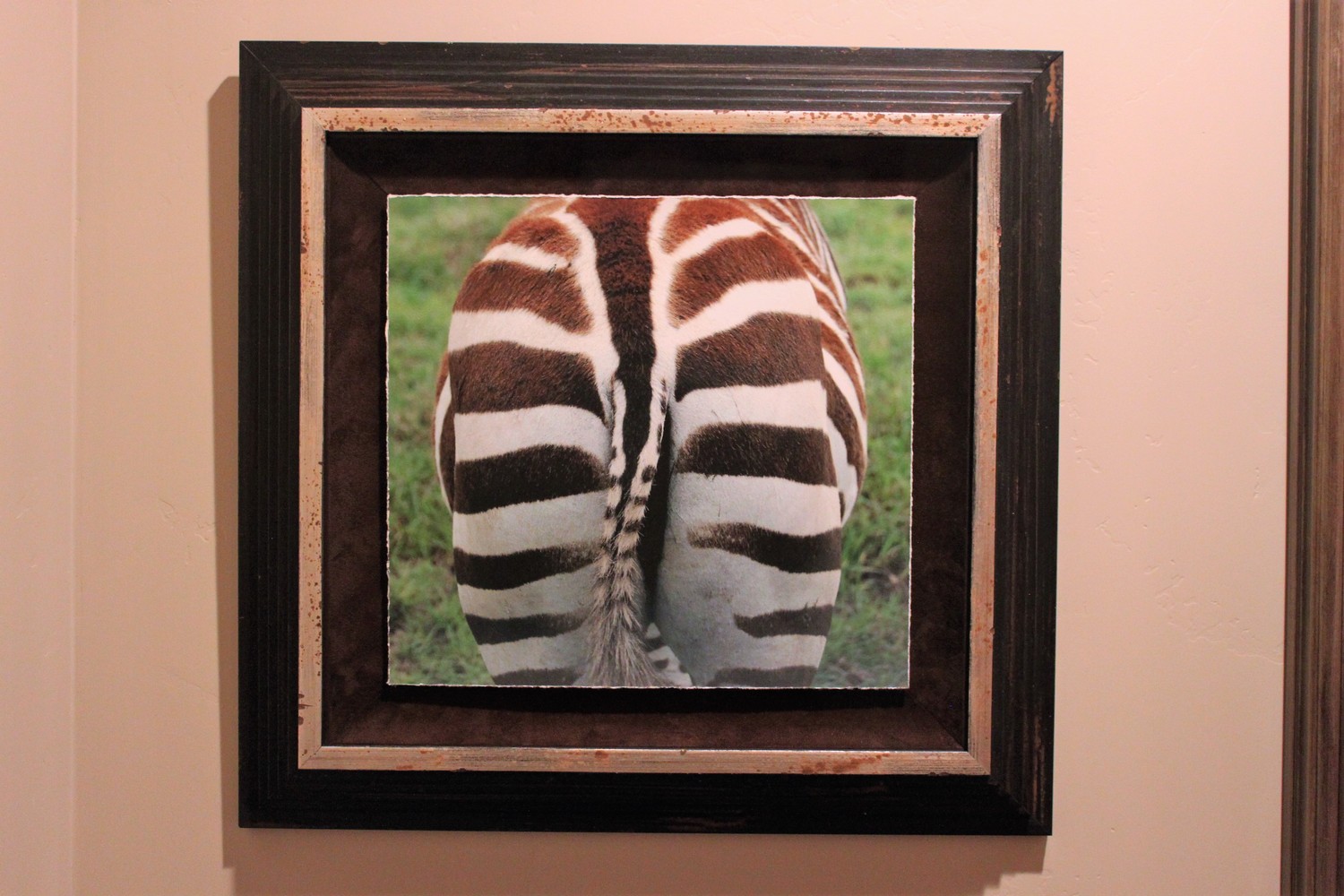Zebra photo in bathroom