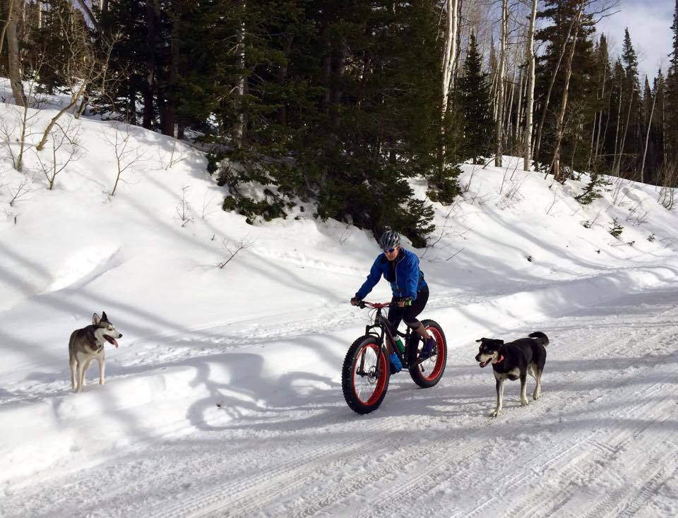 Bri Klug in the snow on a bike with her dogs